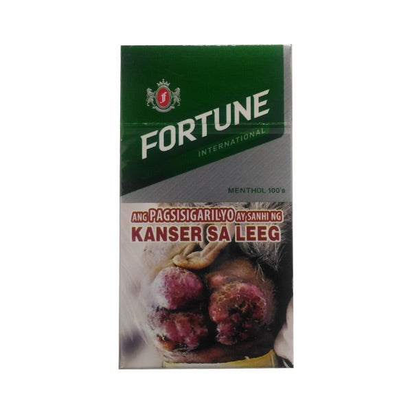 Fortune Int’l Menthol FTB 20’s